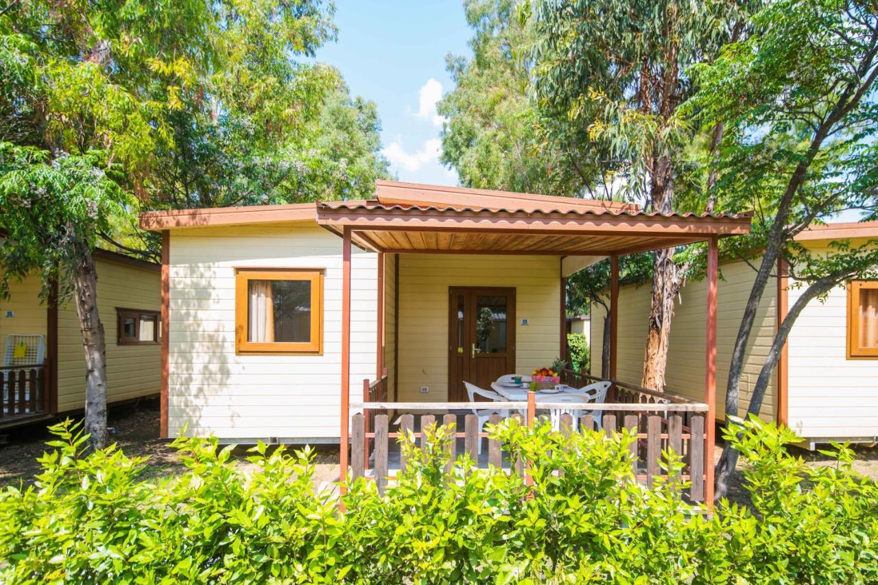 Camping Le Palme Marina Di Bibbona Zewnętrze zdjęcie